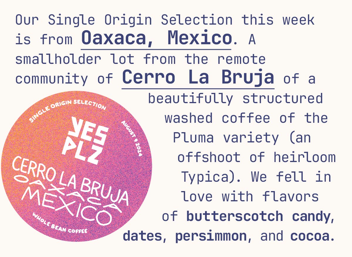 Our Single Origin Selection this week is from Oaxaca, Mexico. A smallholder lot from the remote community of Cerro La Bruja of a beautifully structured washed coffee of the Pluma variety (a local offshoot of heirloom Typica). We fell in love with its flavors of butterscotch candy, dates, persimmon, and cocoa.