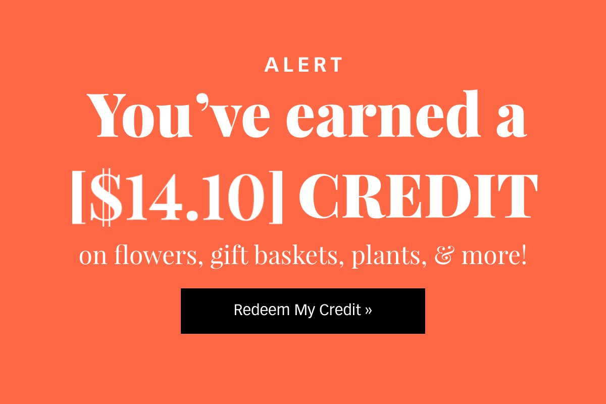 You've Earned a [$14.10] Credit! Redeem Now »