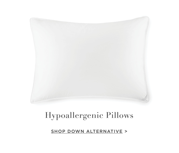 Shop Down Alternative Pillows