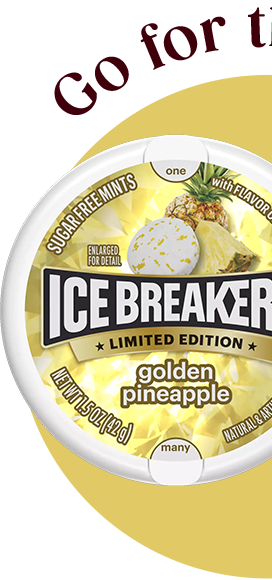 ICE BREAKERS