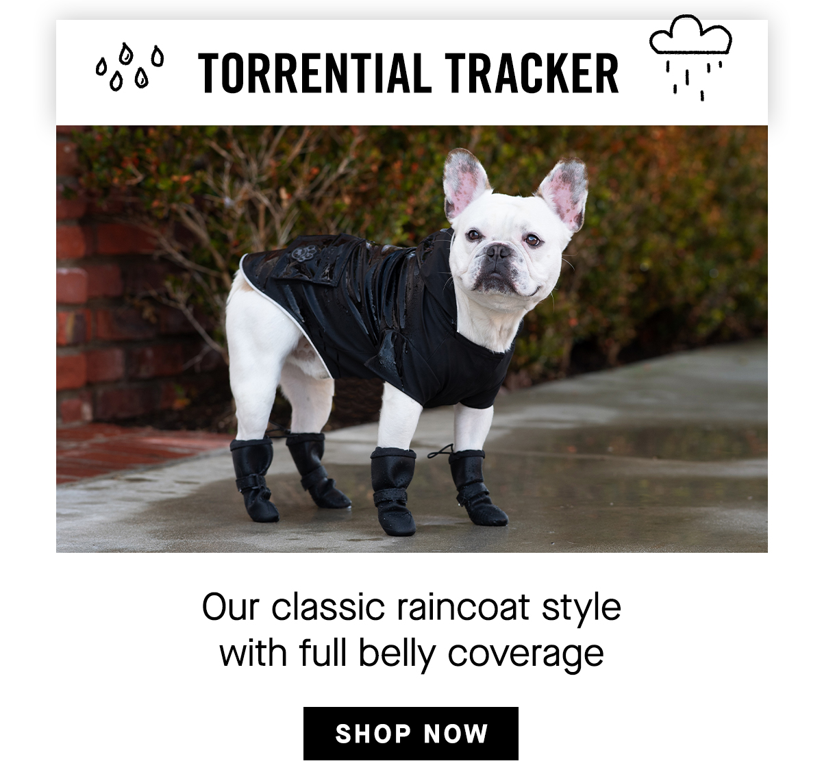 Torrential Tracker