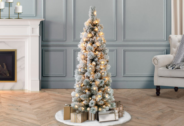 Our Best Frosted Christmas Trees