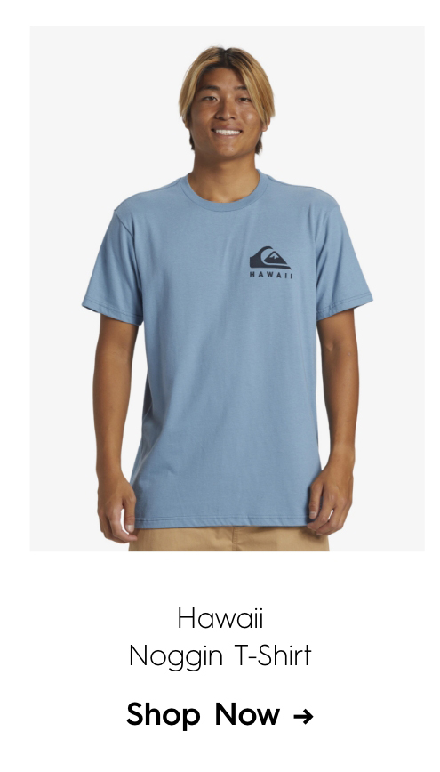 Hawaii Noggin T-Shirt