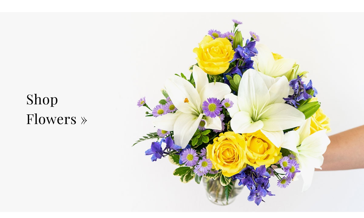 Shop Flowers »