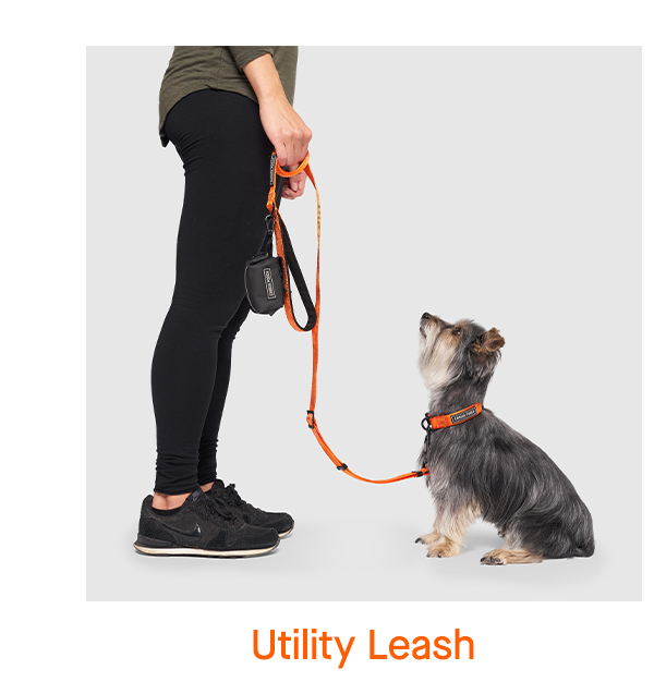 Utility Leash