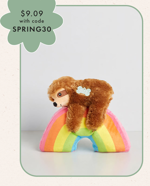 Ziggy Over the Rainbow Pet Toy