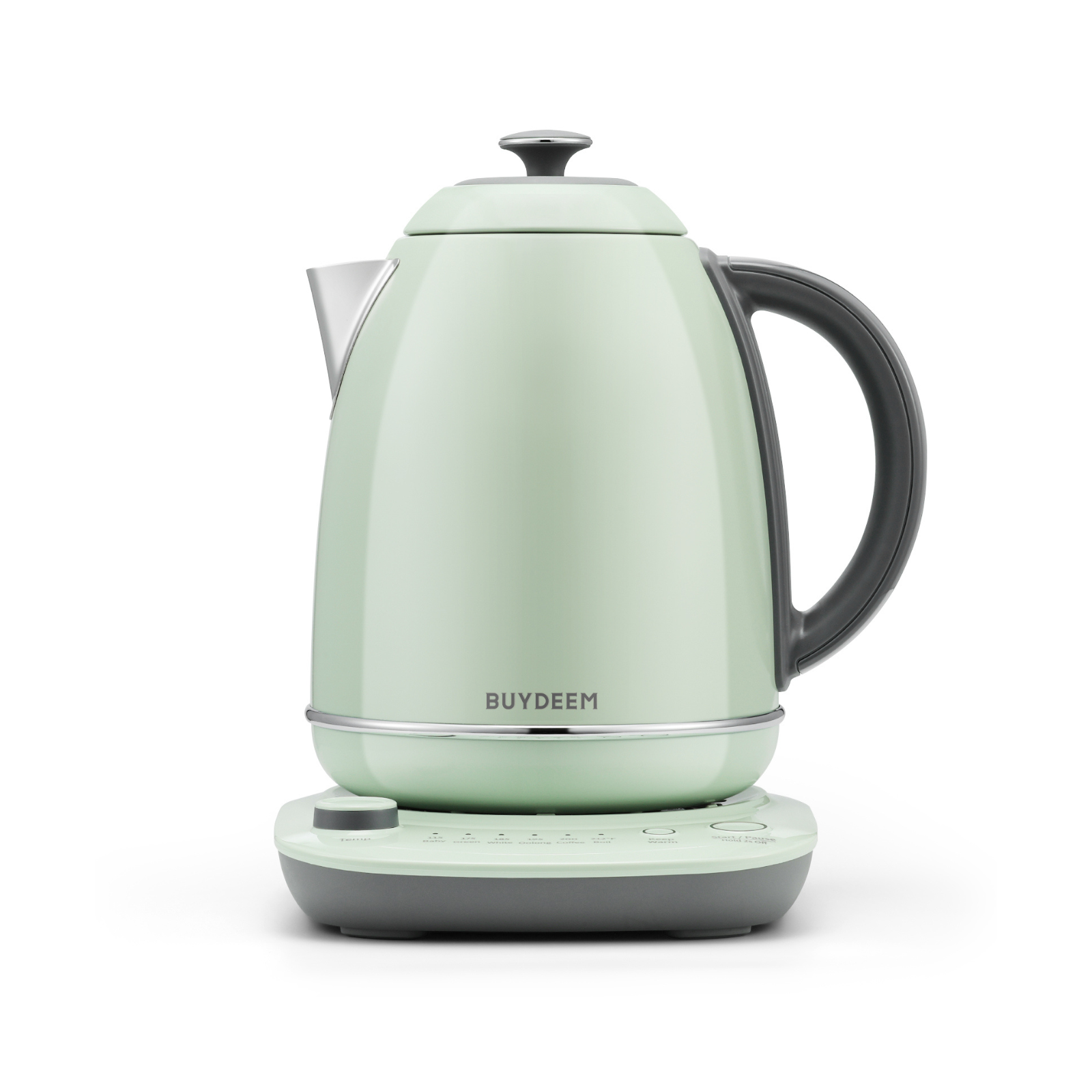 Electric Kettle with Temperature Control