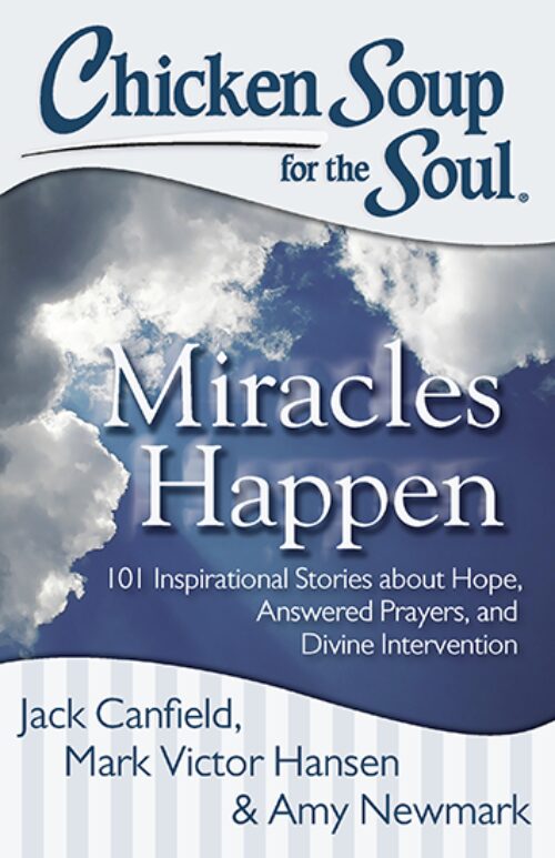 Chicken Soup for the Soul book cover image