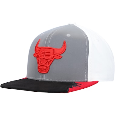  Mitchell & Ness Gray/White  Day 5 Snapback Hat