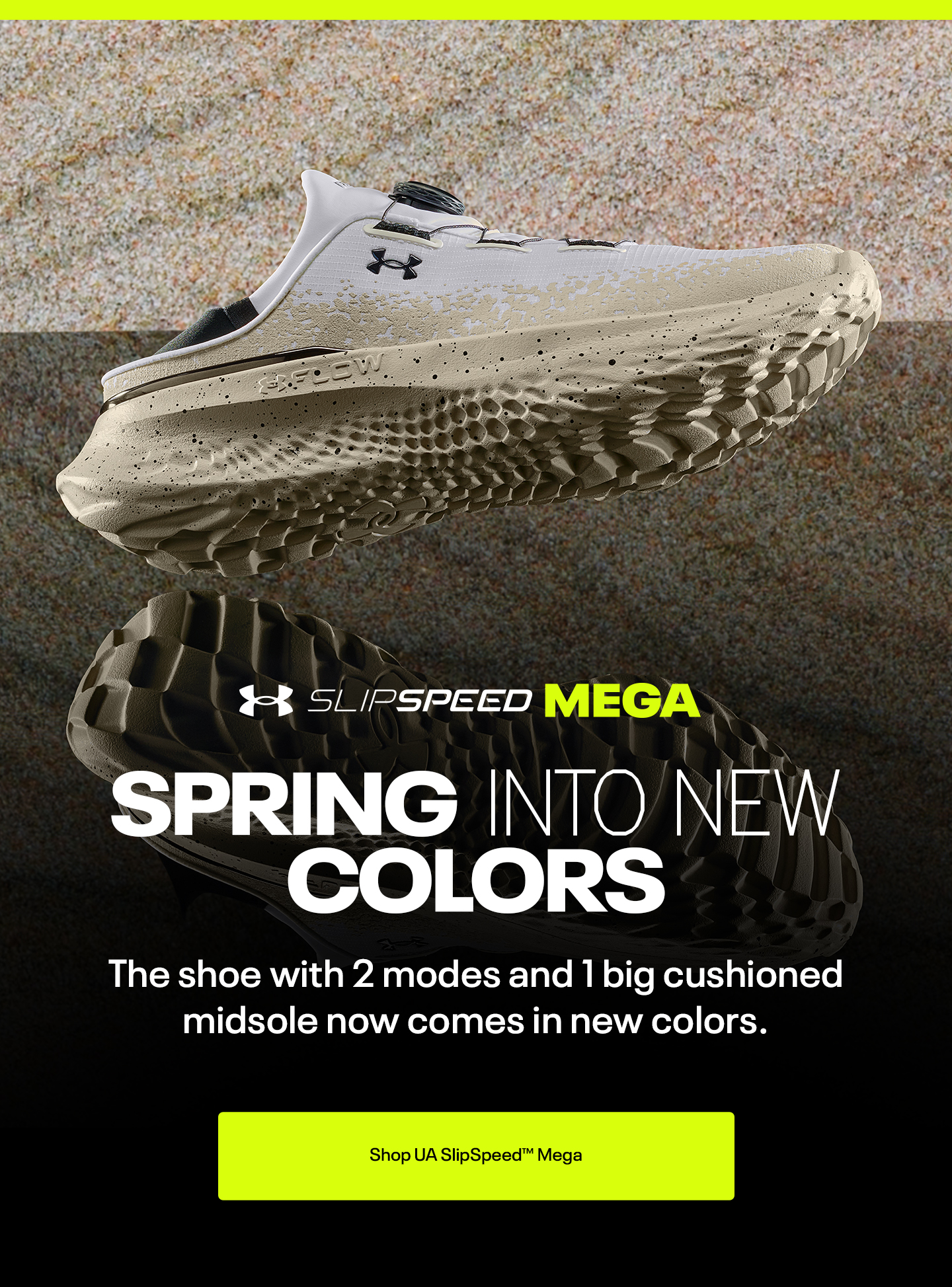 SPRING INTO NEW COLORS