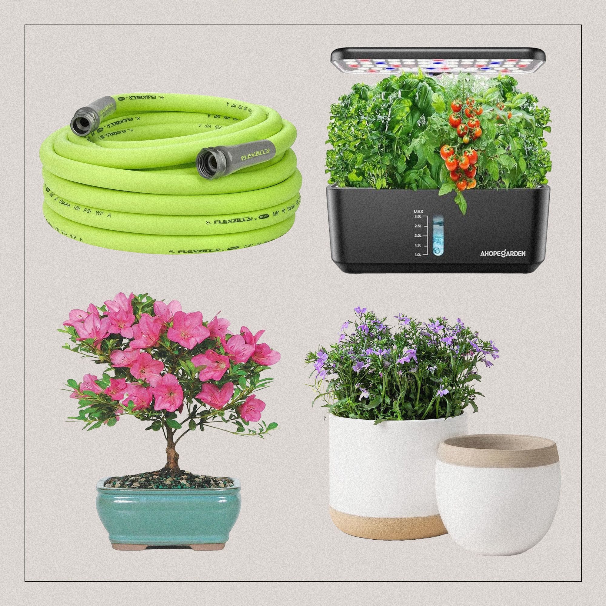 We Sleuthed Out Post-Prime Day Gardening Deals As Low As $10