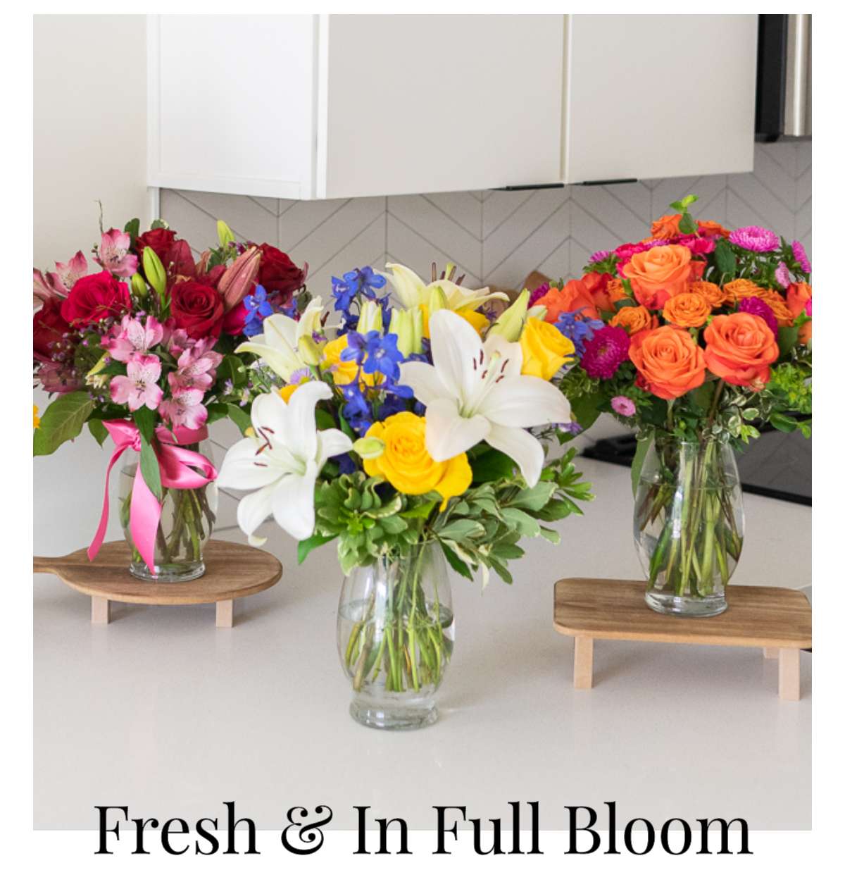 Fresh & In Full Bloom »