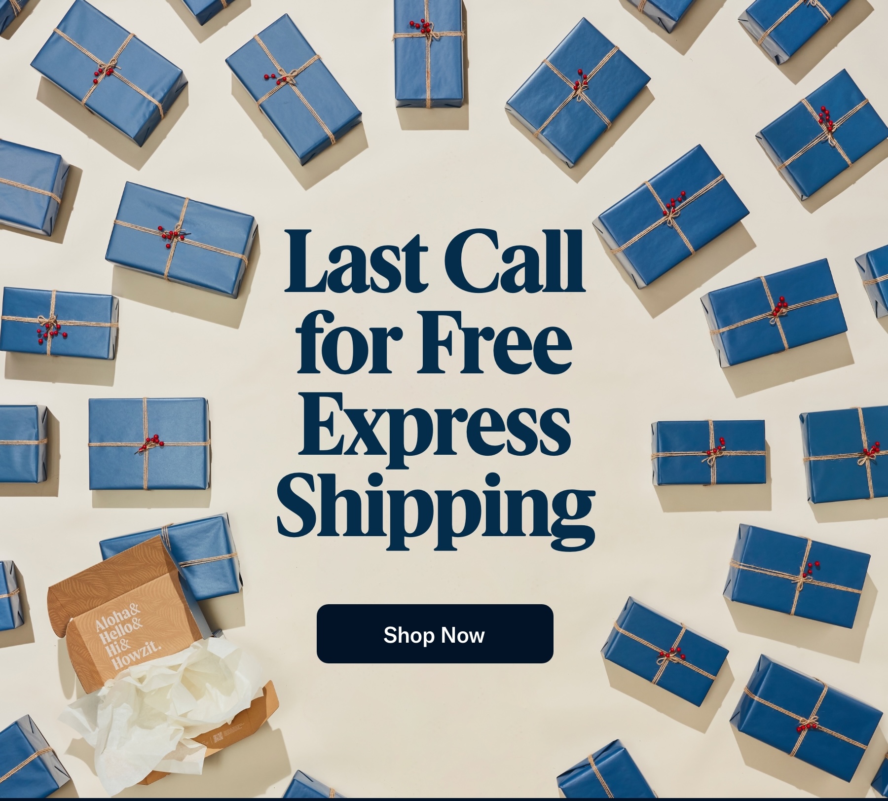 Last Call for Free Express Shipping