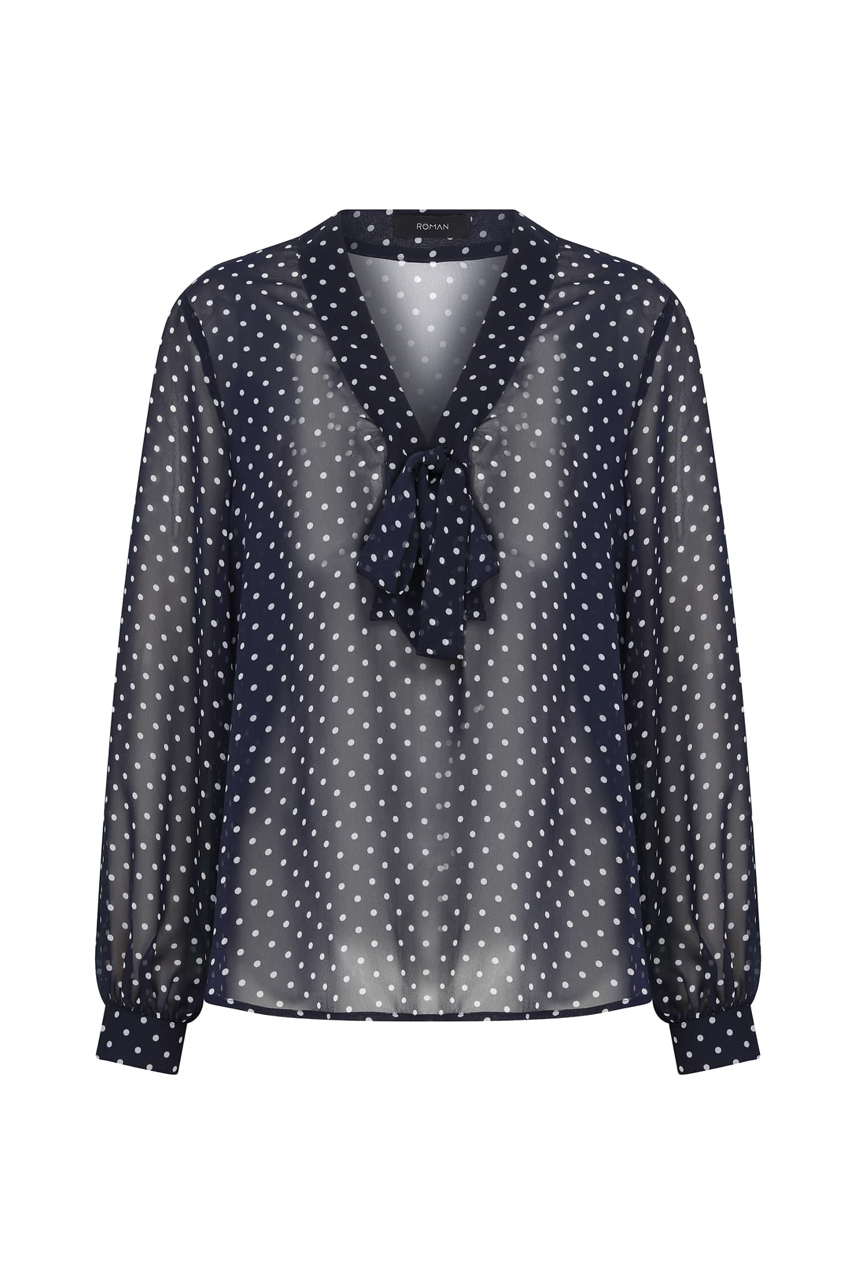 Image of Sheer Blouse