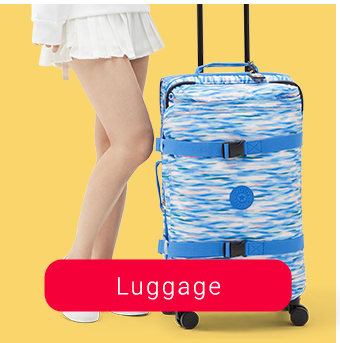 Luggage