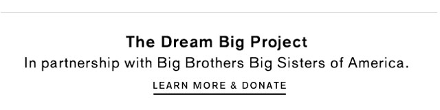 Learn more about The Dream Big Project and donate