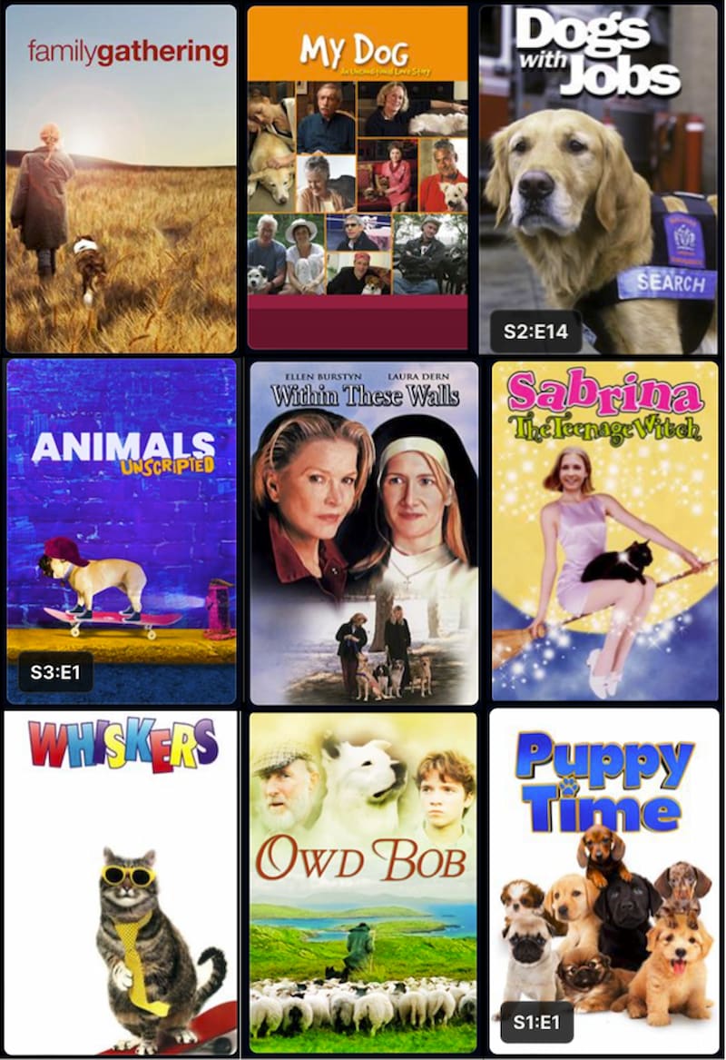 Available titles include: 'Family Gathering', 'Animals Unscripted', 'Puppy Time'