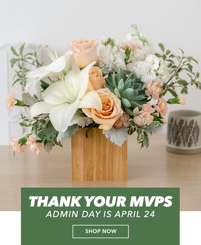 Thank your MVPs