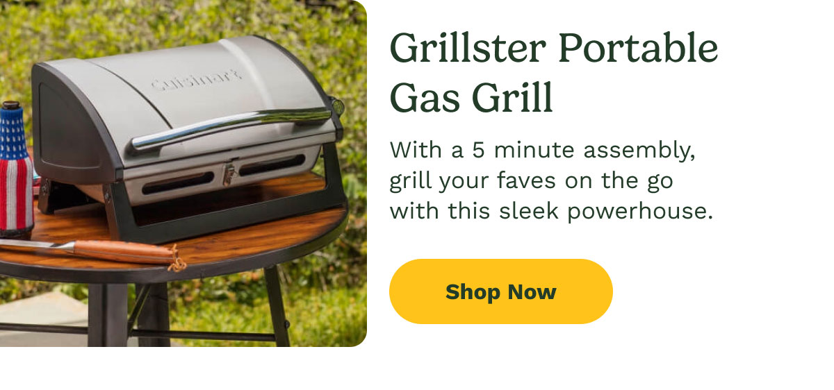 Grillster Portable Gas Grill