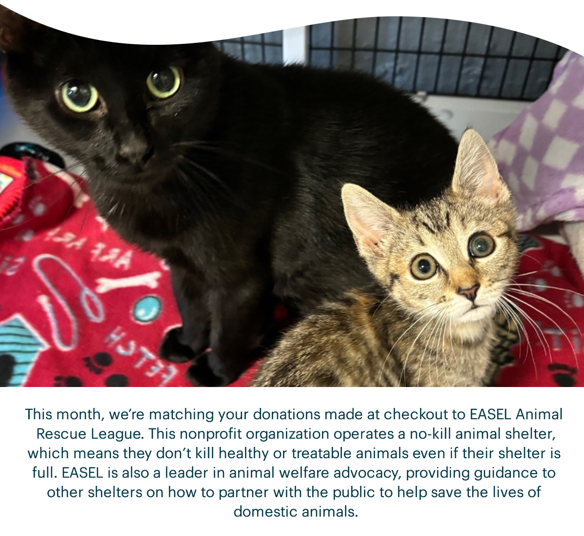 This month, we’re matching your donations made at checkout to EASEL Animal Rescue League. This nonprofit organization operates a no-kill animal shelter, which means they don’t kill healthy or treatable animals even if their shelter is full. EASEL is also a leader in animal welfare advocacy, providing guidance to other shelters on how to partner with the public to help save the lives of domestic animals.