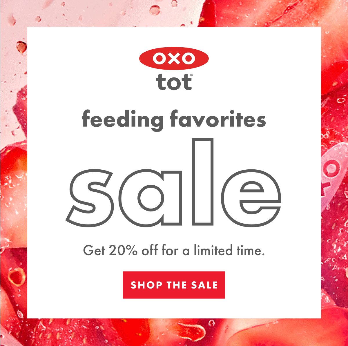 tot feeding favorites sale