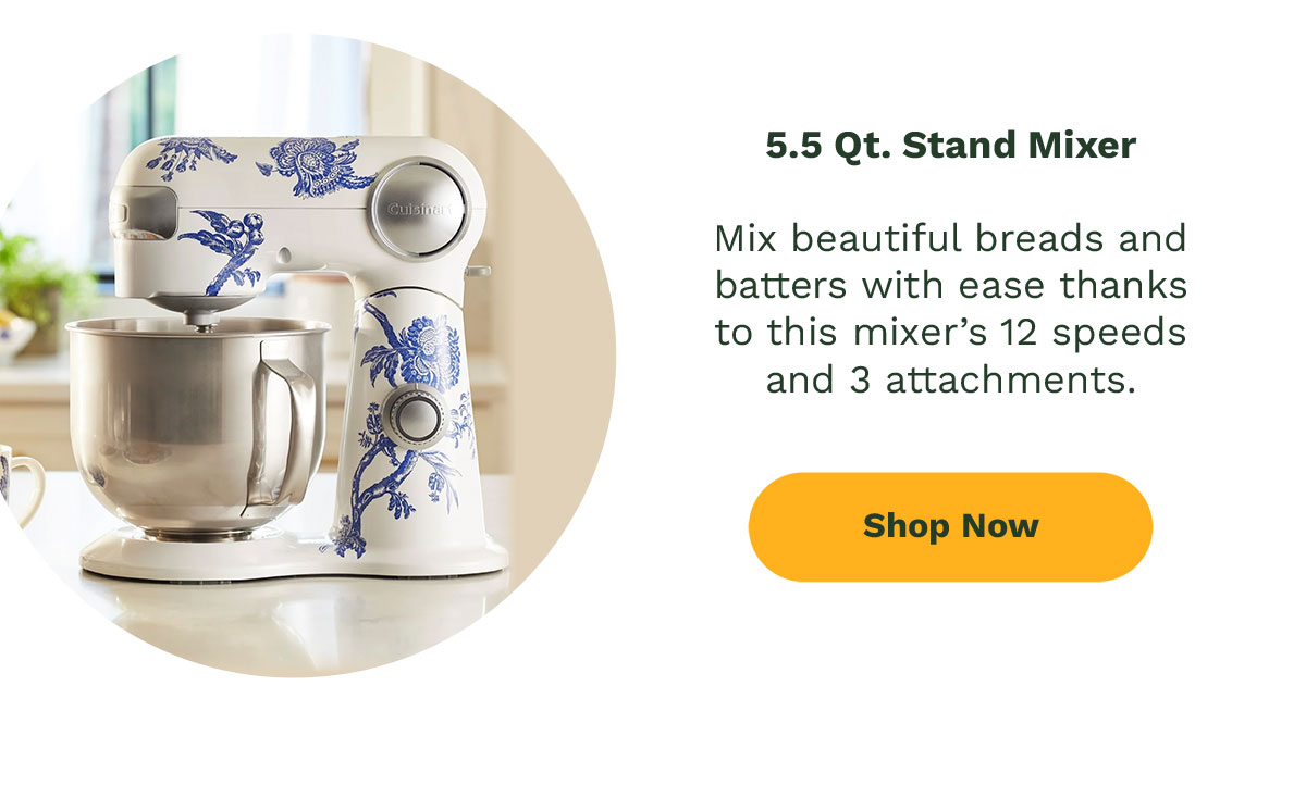 5.5 Qt. Stand Mixer