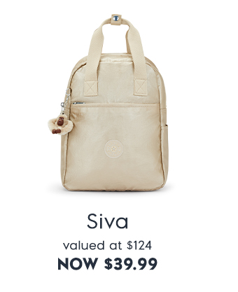 Siva Metallic Backpack