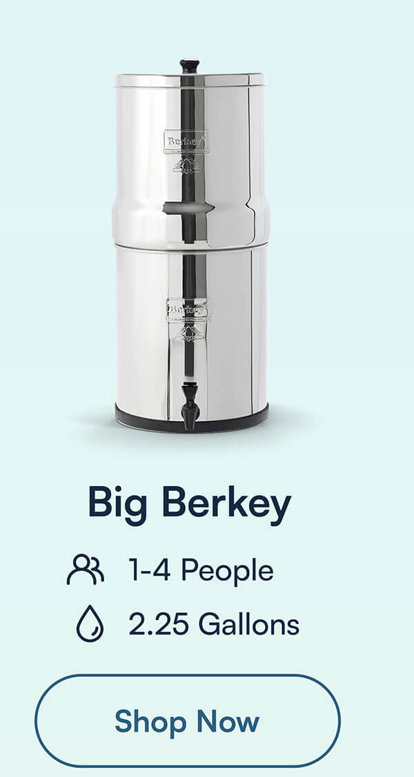 Big Berkey