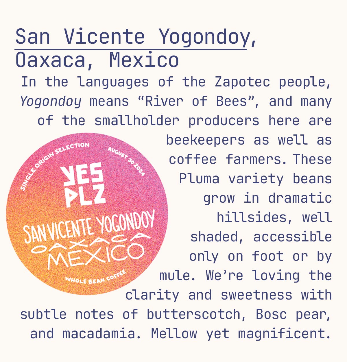 San Vicente Yogondoy, Oaxaca, Mexico In the languages of the Zapotec people, Yogondoy means “River of Bees”, and many of the smallholder producers here are beekeepers as well as coffee farmers. These Pluma variety beans grow in dramatic hillsides, well shaded, accessible only on foot or by mule. We’re loving the clarity and sweetness with subtle notes of butterscotch, Bosc pear, and macadamia. Mellow yet magnificent.