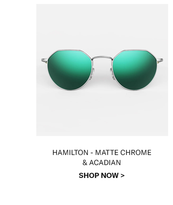 HAMILTON - MATTE CHROME & ACADIAN