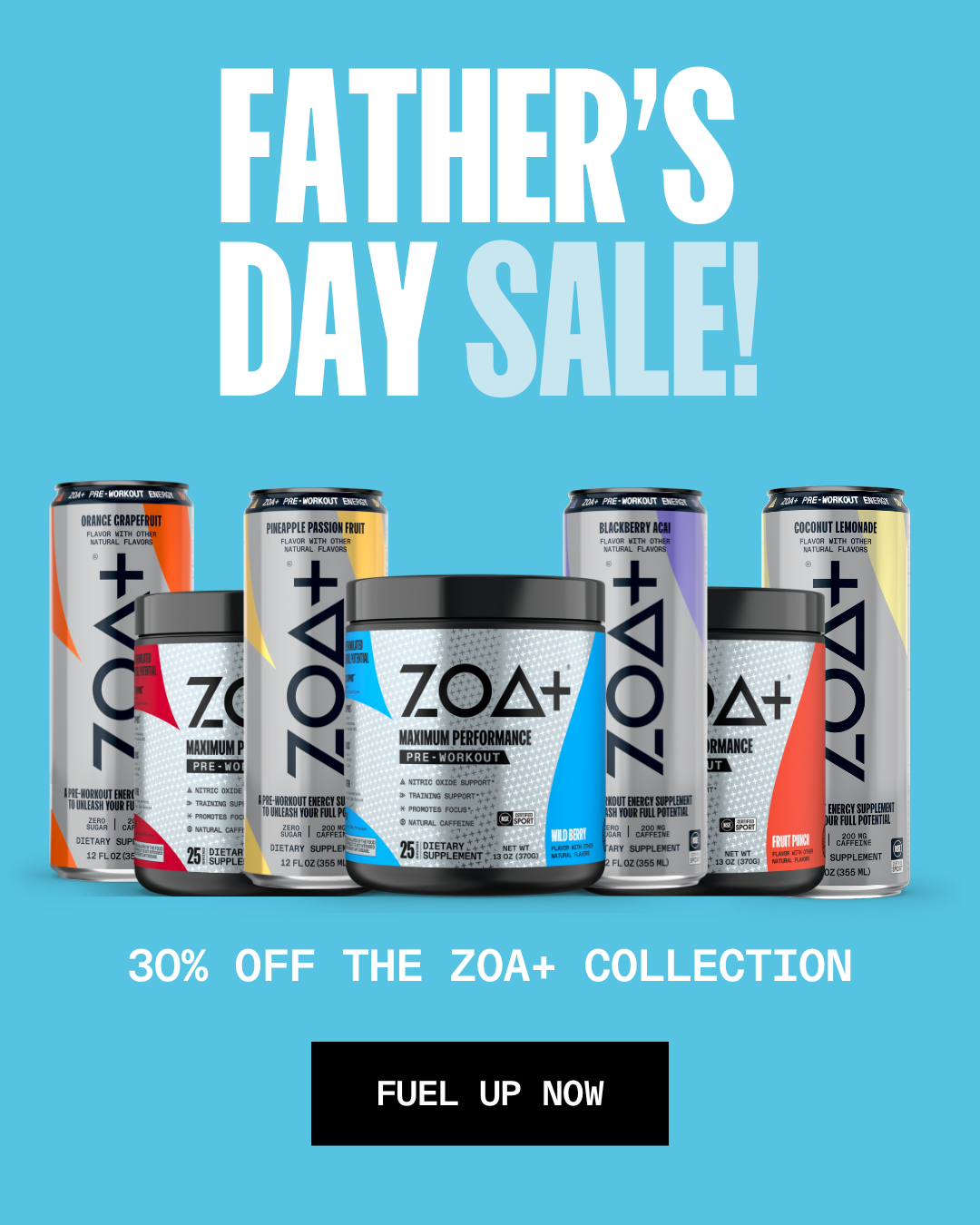 Fathers Day Sale 