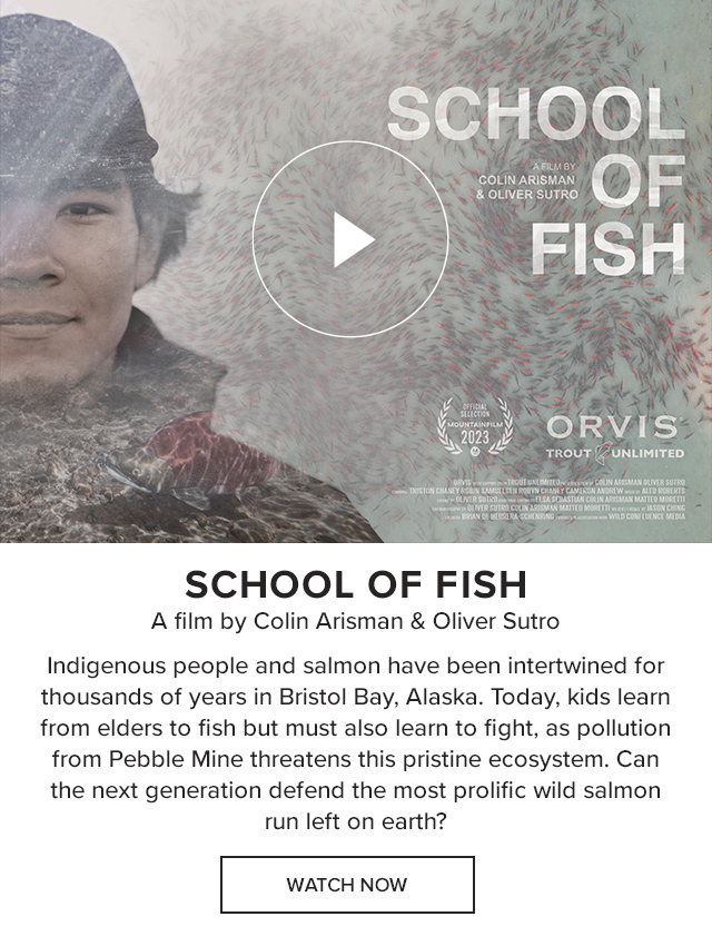 School of Fish A film by Colin Arisman & Oliver Sutro Indigenous people and salmon have been intertwined for thousands of years in Bristol Bay, Alaska. Today, kids learn from elders to fish but must also learn to fight, as pollution from Pebble Mine threatens this pristine ecosystem. Can the next generation defend the most prolific wild salmon run left on earth?