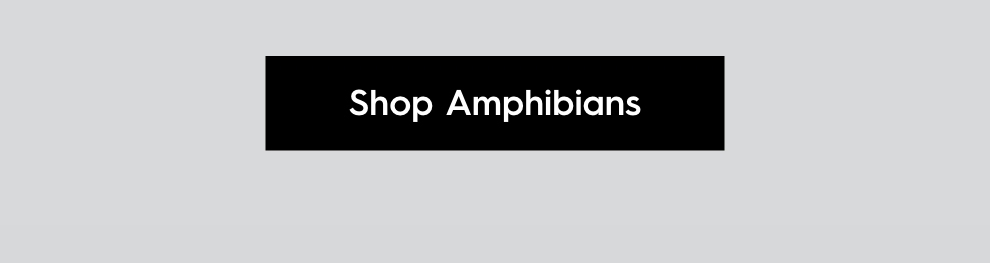 Shop Amphibians