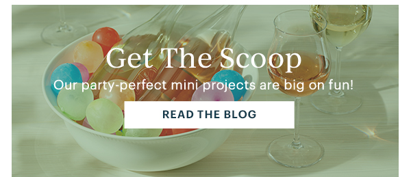 Get The Scoop  Our party-perfect mini projects are big on fun!  [READ THE BLOG]