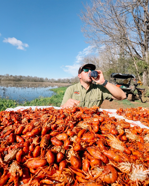 live lousiana blue crabs