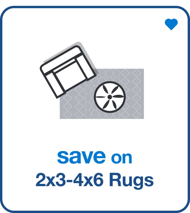 Save on 2x3-4x6 Rugs â€” Shop Now!