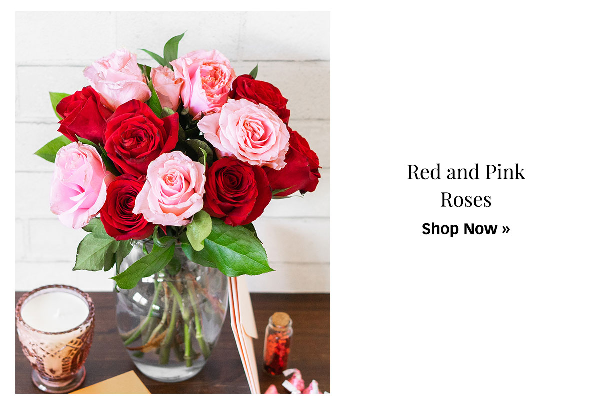 Shop Red & Pink Roses »