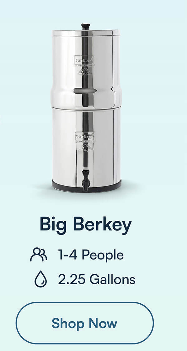 Big Berkey