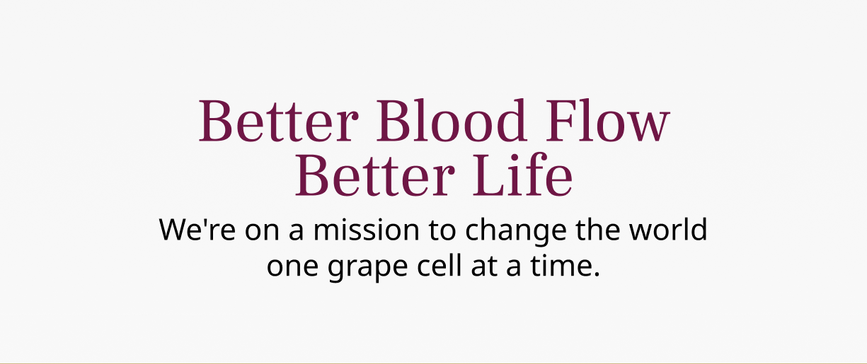 Better Blood Flow Better Life