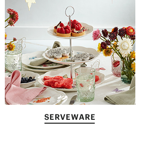 SERVEWARE