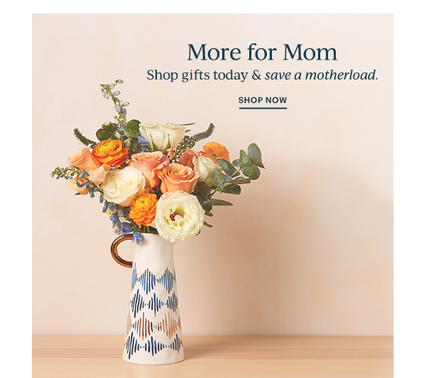 More for Mom  Shop gifts today & save a motherload.  SHOP NOW