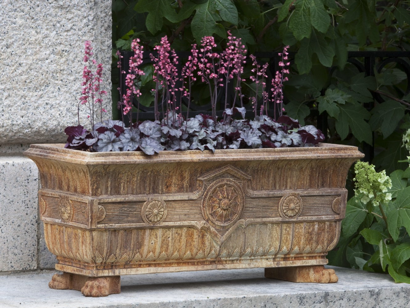 Smithsonian Eastlake Fern Box