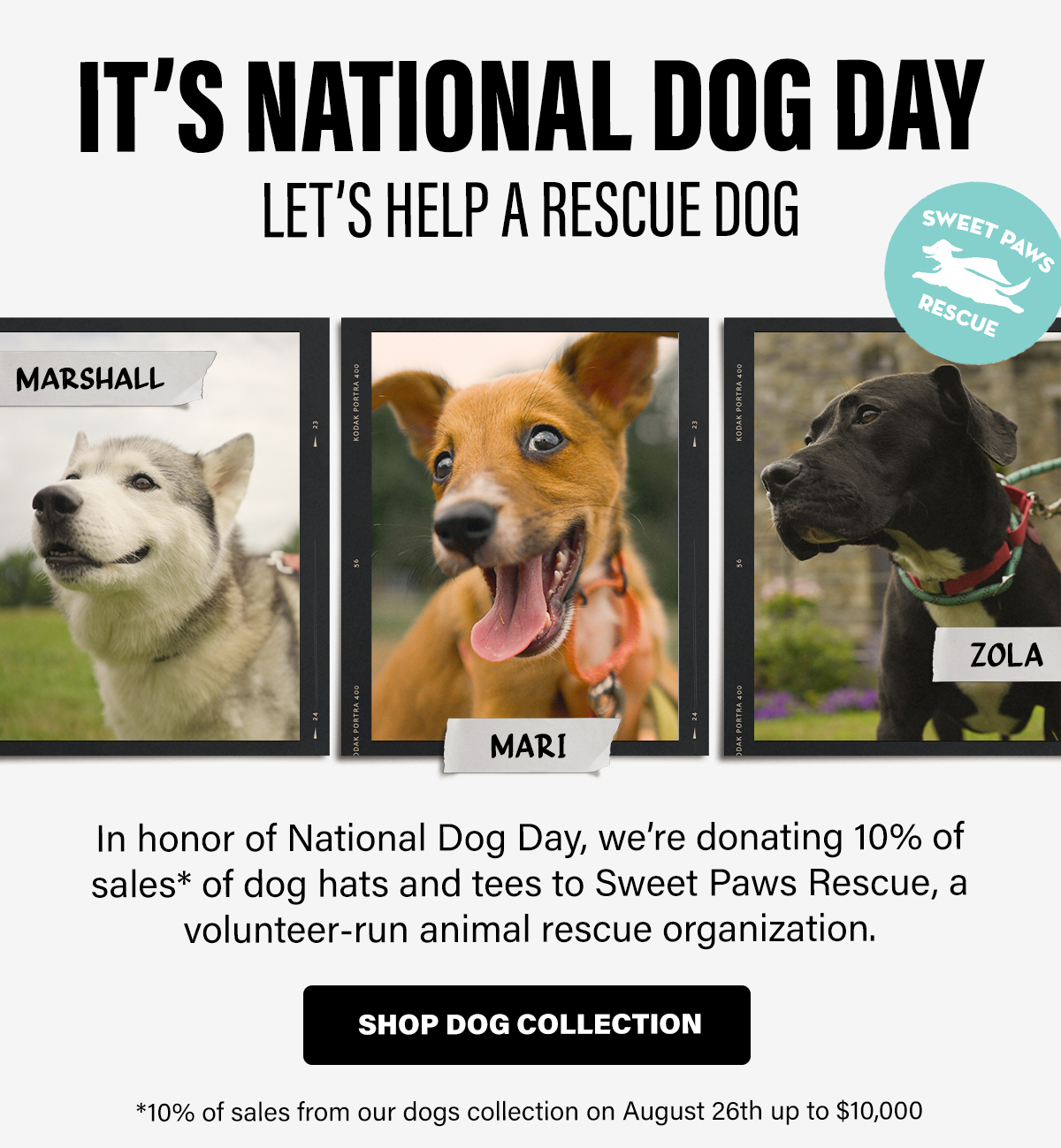 IT'S NATIONAL DOG DAY LET'S HELP A RESCUE DOG | In honor of National Dog Day, we're donating 10% of sales* of dog hats and tees to Sweet Paws Rescue, a volunteer-run animal rescue organization. SHOP DOG COLLECTION