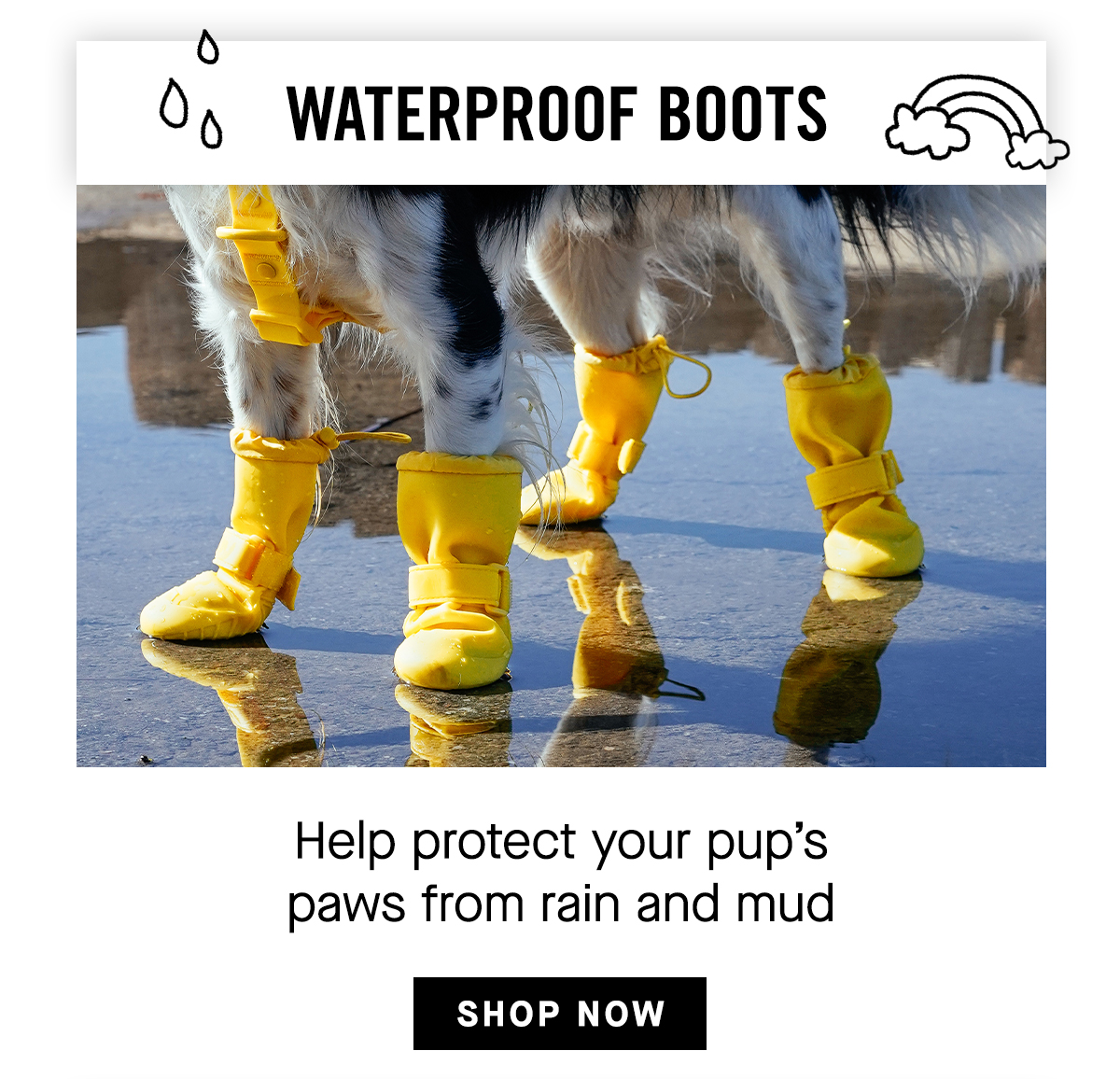 Waterproof Boots