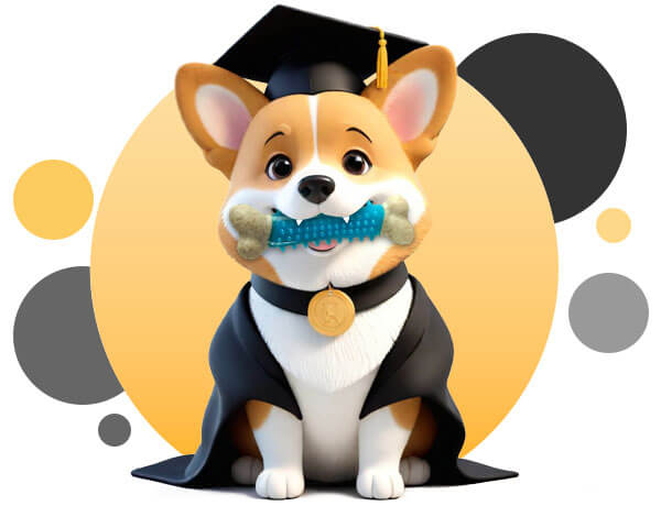 Corgi in Cap & Gown