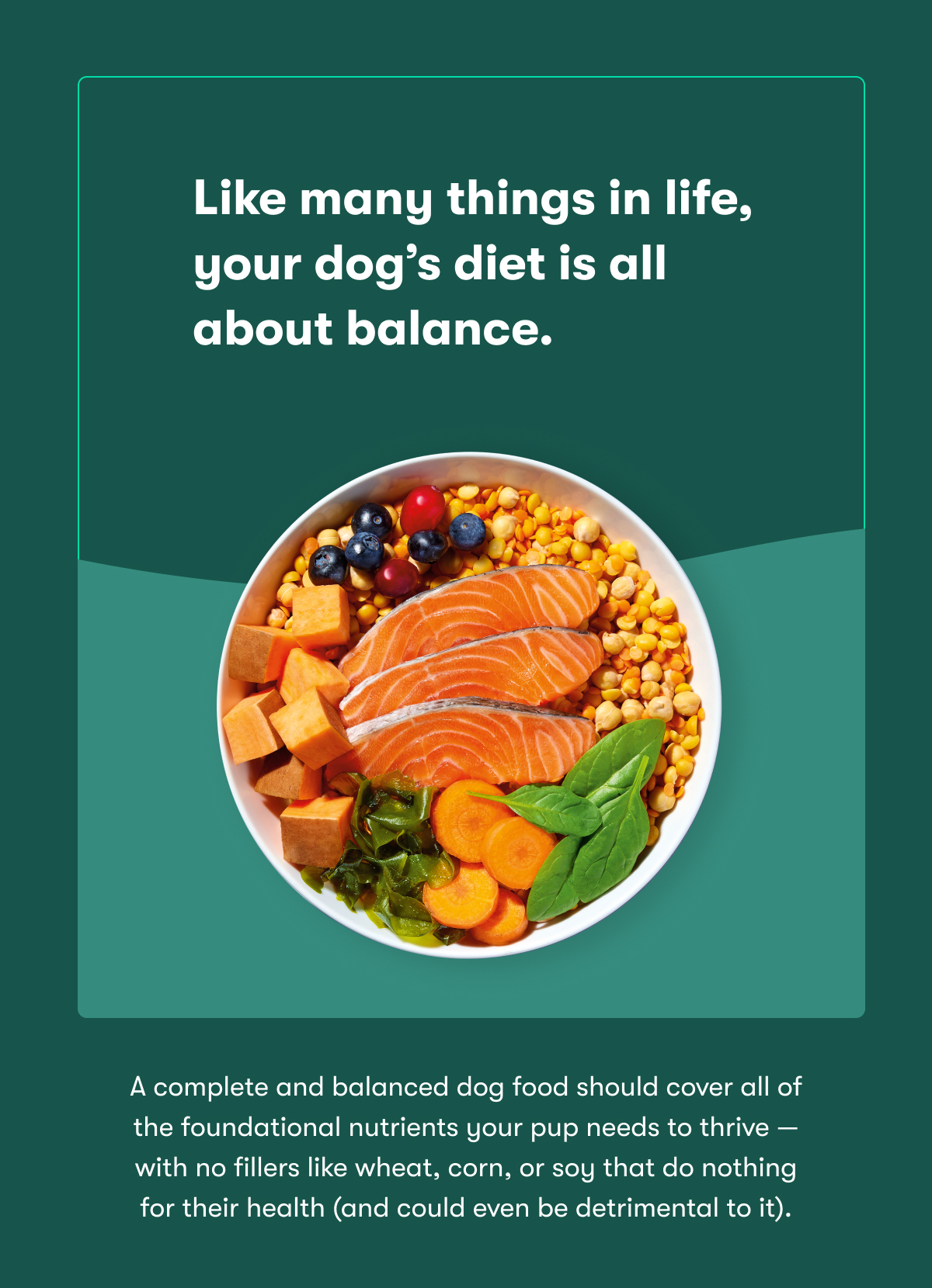 Like many things in life, your dog's diet is all about balance.