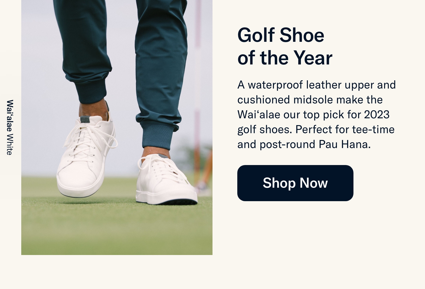 Golf Shoe of the Year