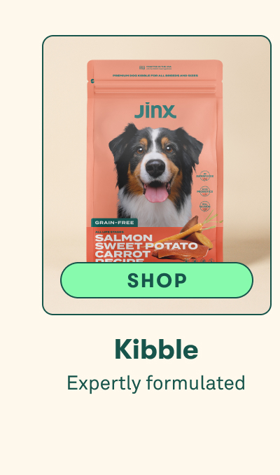 Shop Kibble