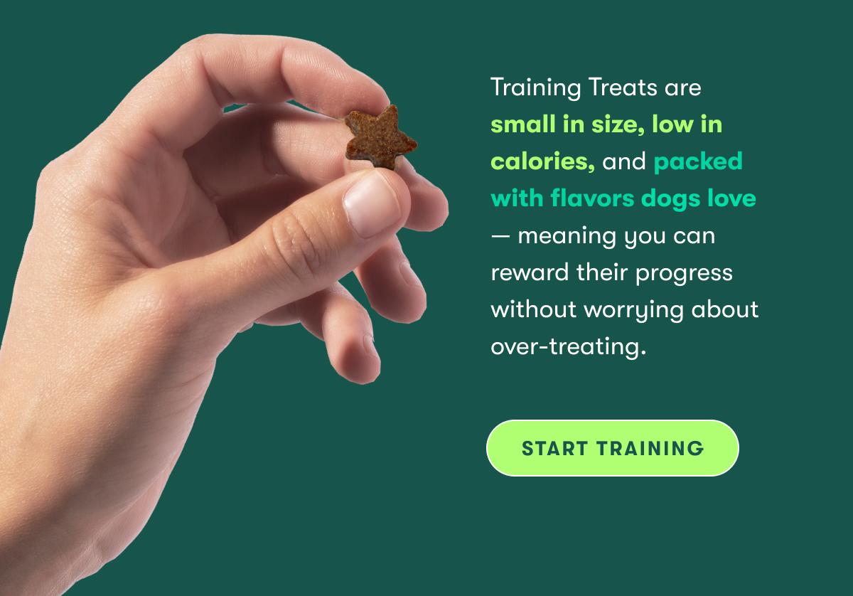 Training treats are small in size, low in calories, and packed with flavors dogs love — meaning you can reward their progress without worrying about over-treating