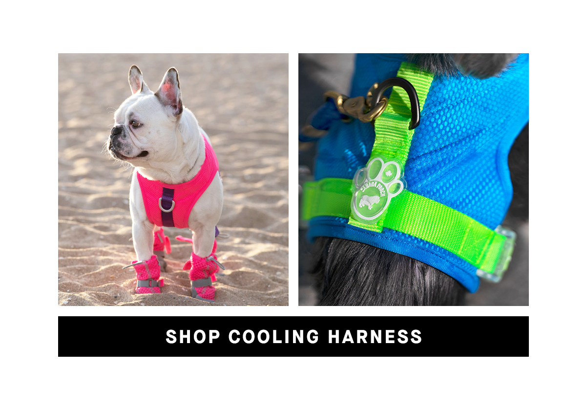 Cooling Harness